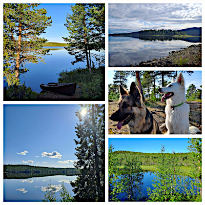 Lappland im Sommer