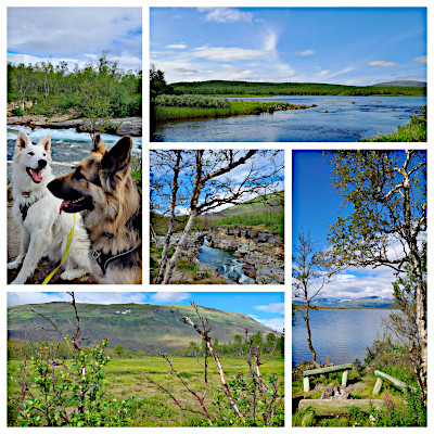 Lappland im Sommer