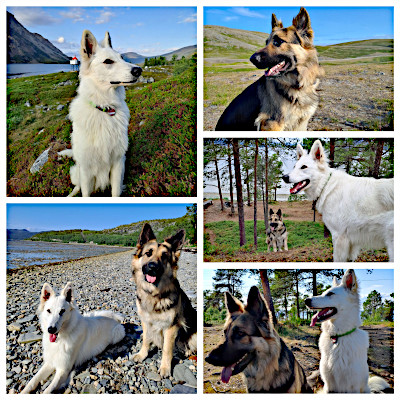 Lappland im Sommer