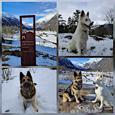 Eyla und Xora im norwegischen Schnee